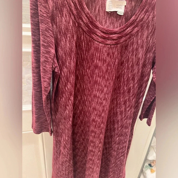 Anthropologie Saturday Sunday medium narva swing dress burgundy wine pockets - Picture 4 of 13